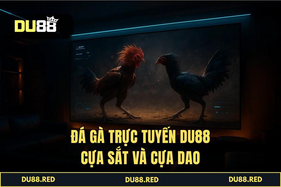 Phân tích các loại hình đá gà đỉnh cao: Từ cựa dao Philippines đến cựa sắt Thomo