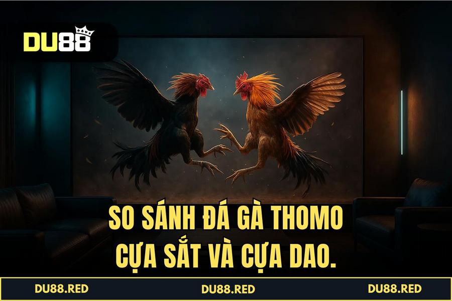 Phân tích các loại hình đá gà đỉnh cao: Từ cựa dao Philippines đến cựa sắt Thomo