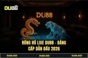 Rồng Hổ Live